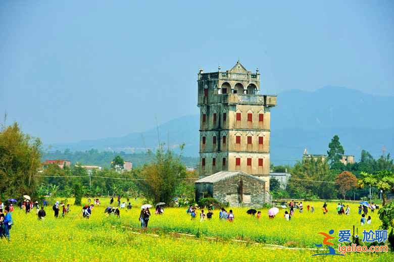 中国赏油菜花地图，赴一场花田盛宴！？