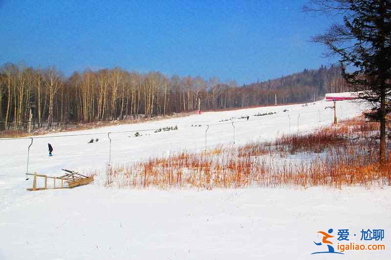 冬游长白山：走进冰雪世界？