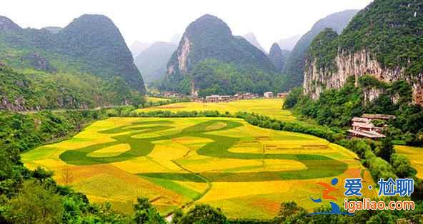 中国赏油菜花地图，赴一场花田盛宴！？