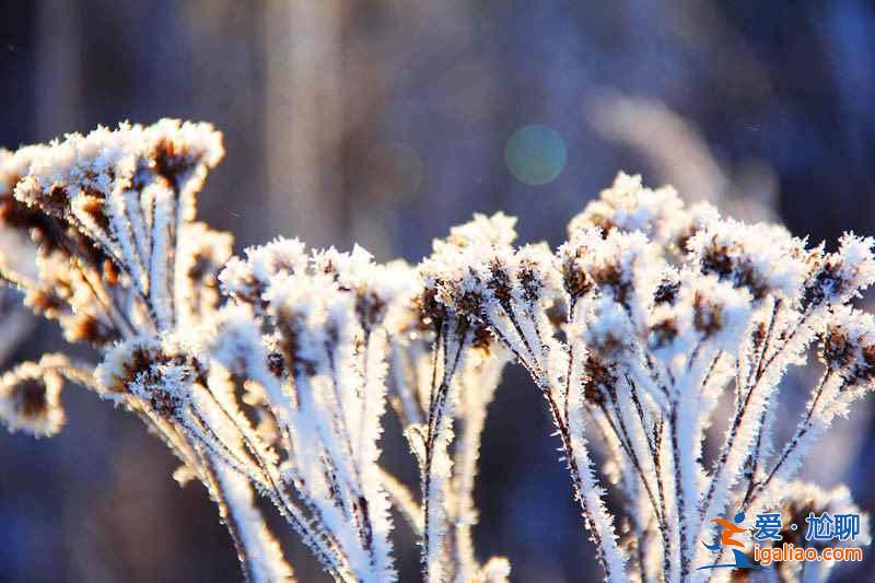 冬游长白山：走进冰雪世界？