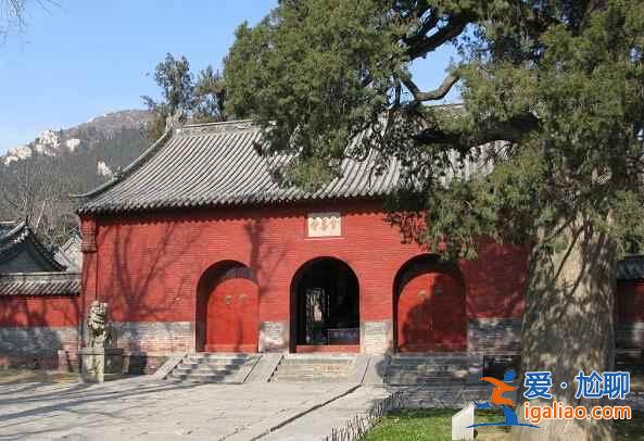 喜讯！嵩山两景点向游客免费开放？