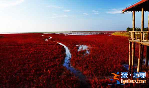 中国最美六大沼泽湿地，为沼泽正名！？