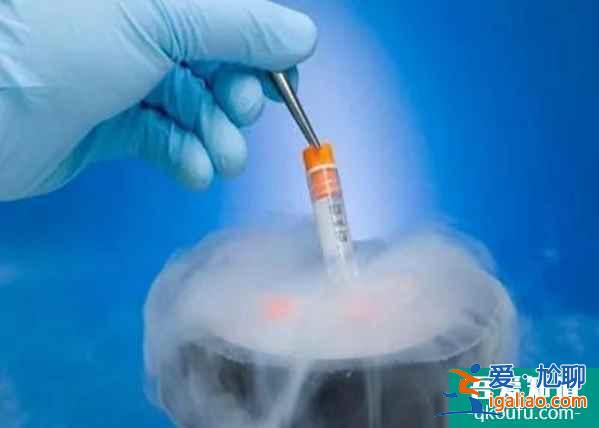 试管专家：移植鲜胚还是冻胚，主要看您适合哪种？