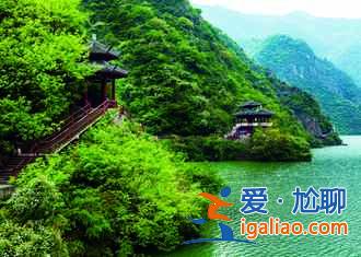 【去哪里看油菜花】2018去哪里看油菜花,国内油菜花观赏地大全? 【去哪里看油菜花】2018去哪里看油菜花,国内油菜花观赏地大全?