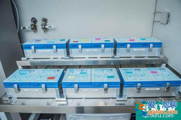 试管婴儿:取卵10个一般能配几个胚胎?? 试管婴儿:取卵10个一般能配几个胚胎??