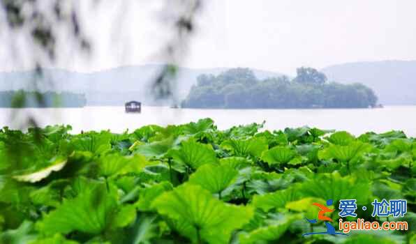盘点全国所有免费的5A景区，收福利了！？