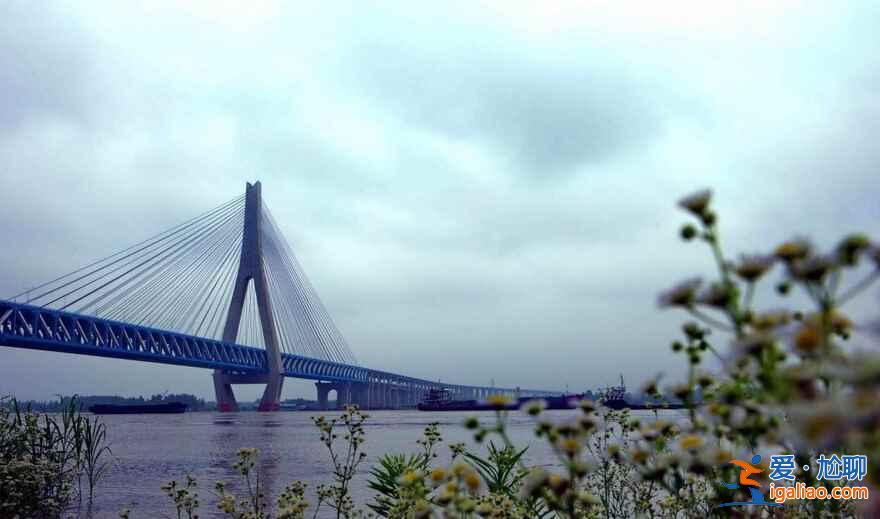 最美高铁开通，沿途风景如画（组图）？