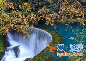 【2018荔波薰衣草】荔波薰衣草在哪，荔波薰衣草怎么走？