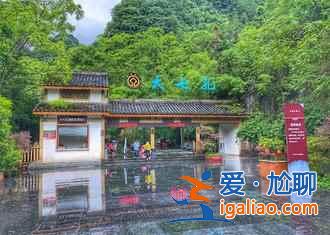 【2018荔波薰衣草】荔波薰衣草在哪，荔波薰衣草怎么走？