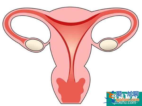 资讯：试管婴儿四个步骤规避宫外孕的发生？