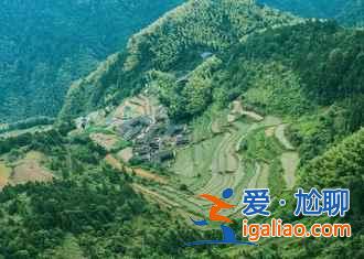 仙居薰衣草地址，仙居薰衣草怎么去，仙居薰衣草在哪？