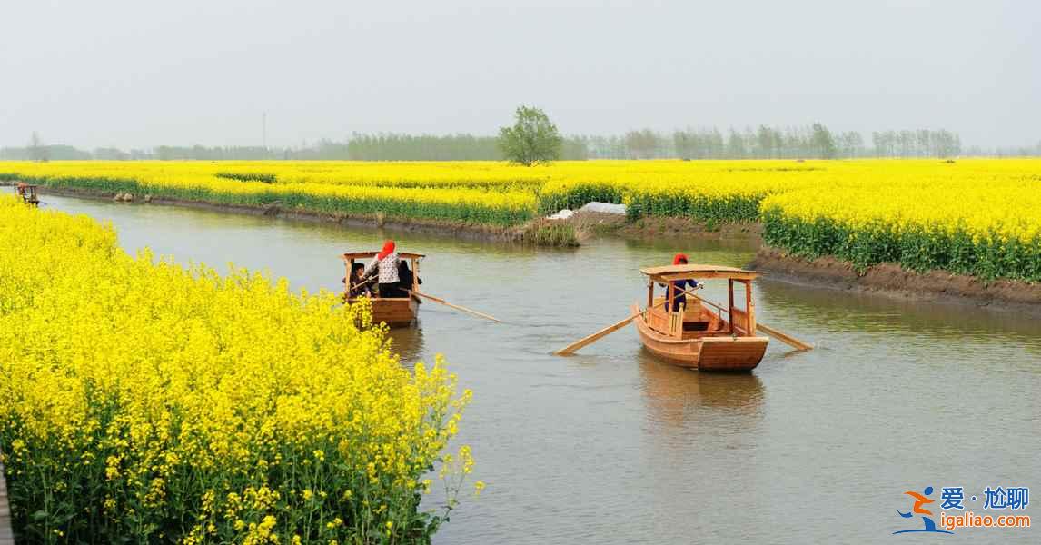 2018全国最全油菜花时间表，油菜花开放时间？