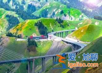 6月，这里就是中国的普罗旺斯，美哭了！？