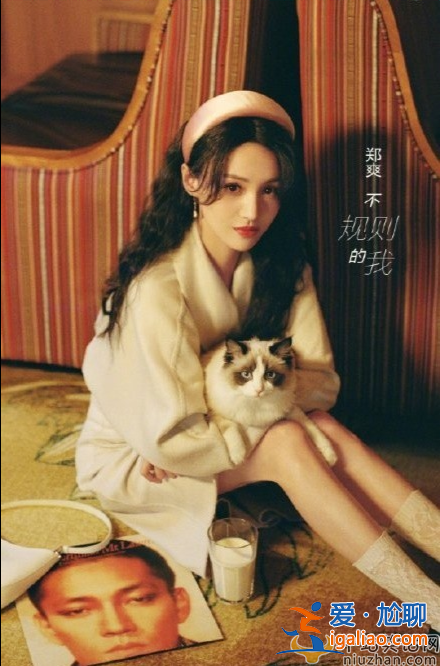 郑爽代孕生子是否犯法 郑爽代孕需要坐牢吗？