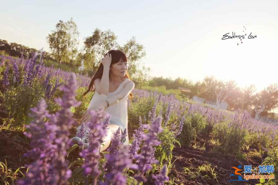 【厦门哪里有薰衣草】2018厦门环岛路薰衣草地址、门票及交通指南？