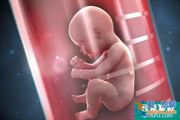 深度解析：试管婴儿冷冻囊胚的优势？