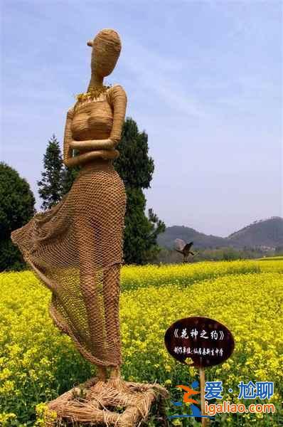 2017仙居油菜花什么时候开，仙居油菜花门票多少钱？