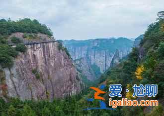 2017仙居油菜花什么时候开，仙居油菜花门票多少钱？