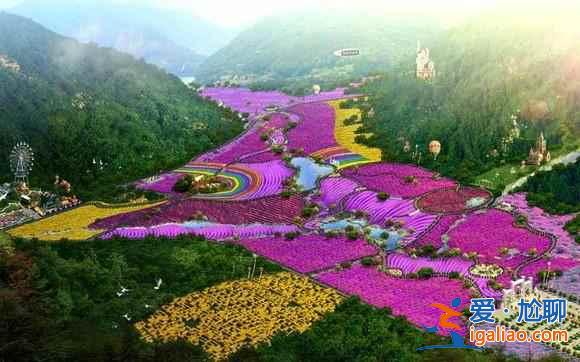 2018沈阳薰衣草庄园门票—时间—地点及交通，沈阳薰衣草庄园攻略？