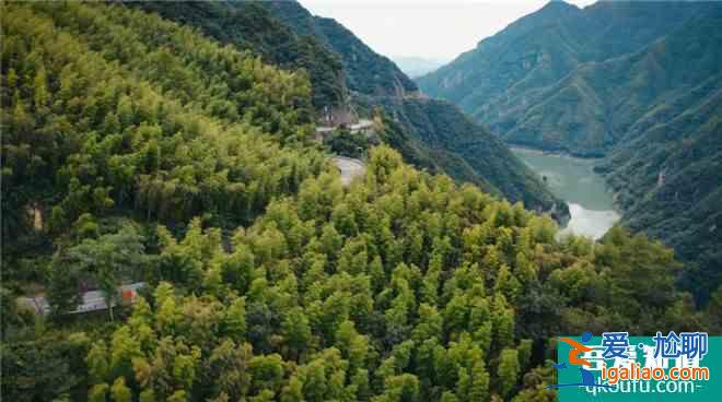 《温暖有光放映队》第七期：走遍安吉的绿水青山？