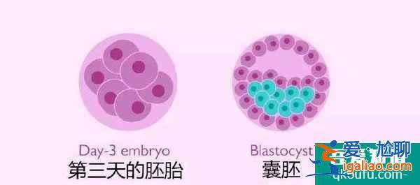 肥胖多大程度会影响试管成功率？？