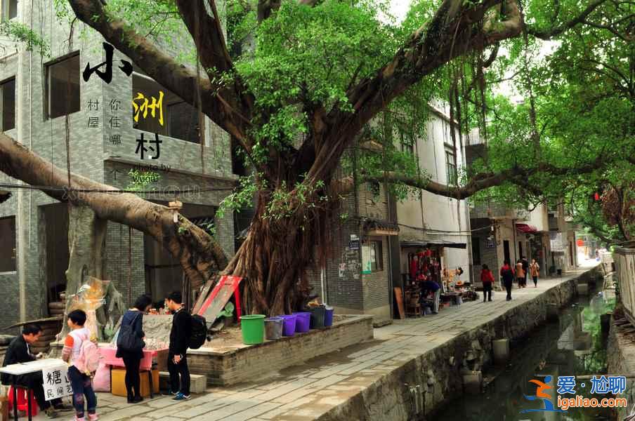 五月广州有什么好玩的地方，五月广州哪里好玩，五月广州游玩攻略？