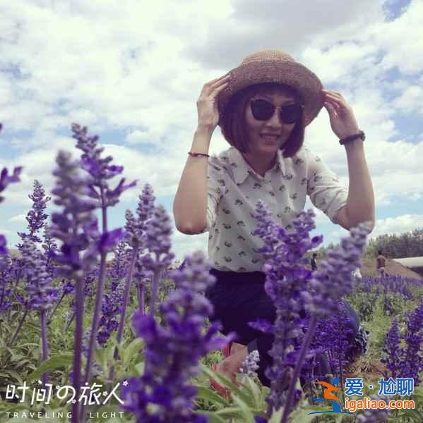 密云薰衣草庄园在哪，北京密衣草庄园怎么走？