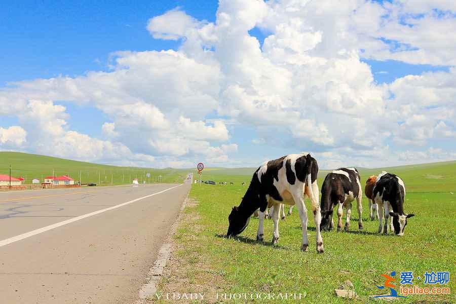 【2018毕业旅行路线推荐】毕业旅行的最佳去处，大学生毕业旅行推荐？