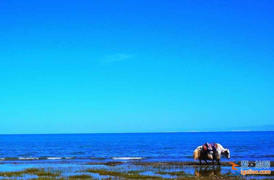 【骑行青海湖最佳时间】环青海湖骑行需要几天，青海湖骑行路线+攻略？