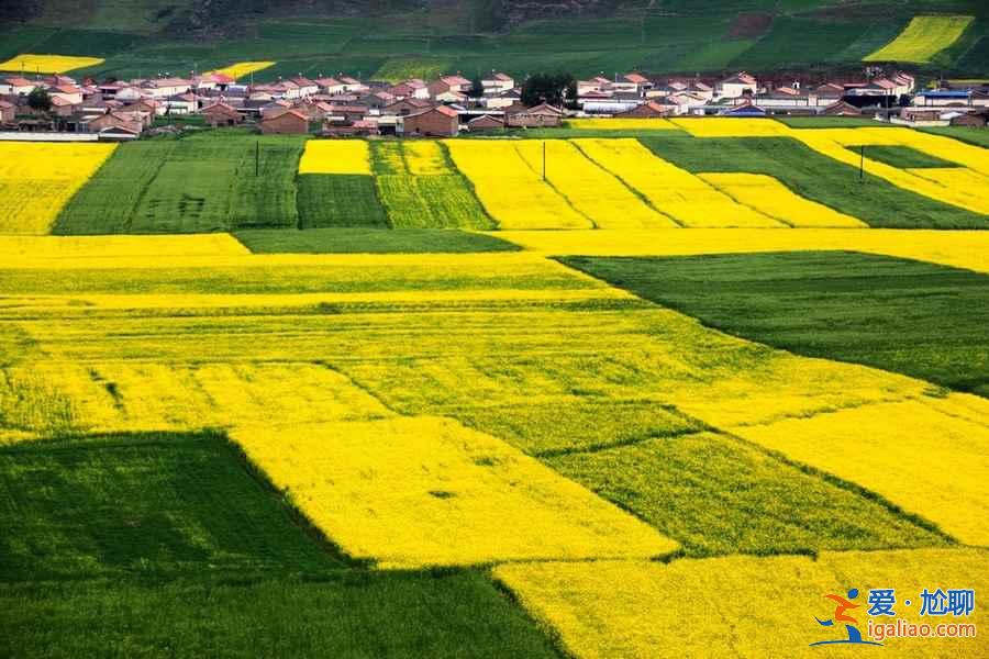 门源油菜花怎么去，2018门源油菜花交通费用？