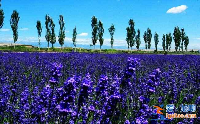 6月中国，遇见最美的夏季？