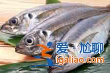 海鱼怎么做不腥? 海鱼怎么做不腥?