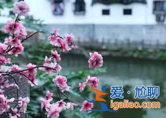 【五一高铁游】沿途美景不断的高铁线，边走边看！？