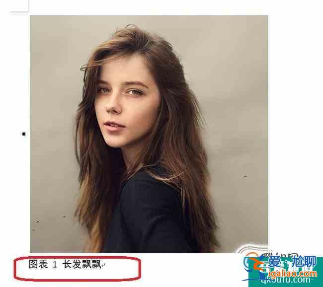 如何为文档中的图、表等插入题注？？