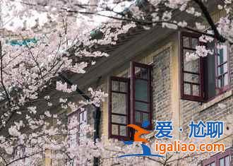2017武大樱花门票多少钱，2017武大樱花门票？