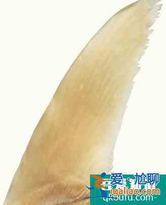 2021年湖南特色菜 盘点湘菜的最新特色菜？