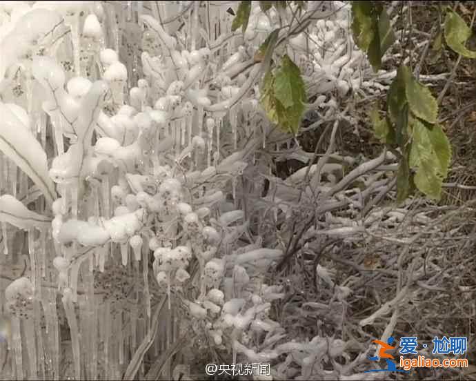 延庆今年冬天冷吗？北京延庆现冰瀑景观？
