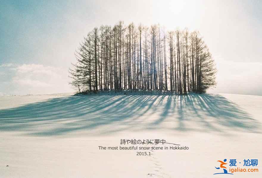 北海道几月可以滑雪，北海道最佳滑雪时间？