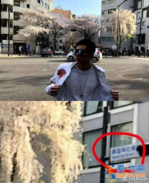 张哲瀚微博以及工作室微博均被封号 各大官媒点名批评