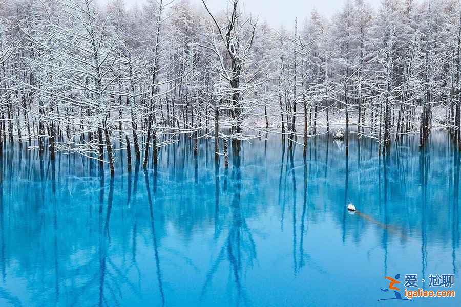 北海道几月可以滑雪，北海道最佳滑雪时间？