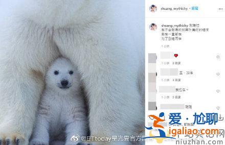 郑爽及工作室账号被关闭 ins发声说了什么？