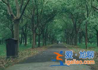 【崇明东滩观鸟季节】崇明岛观鸟几月份最好，崇明岛观鸟最佳时间？