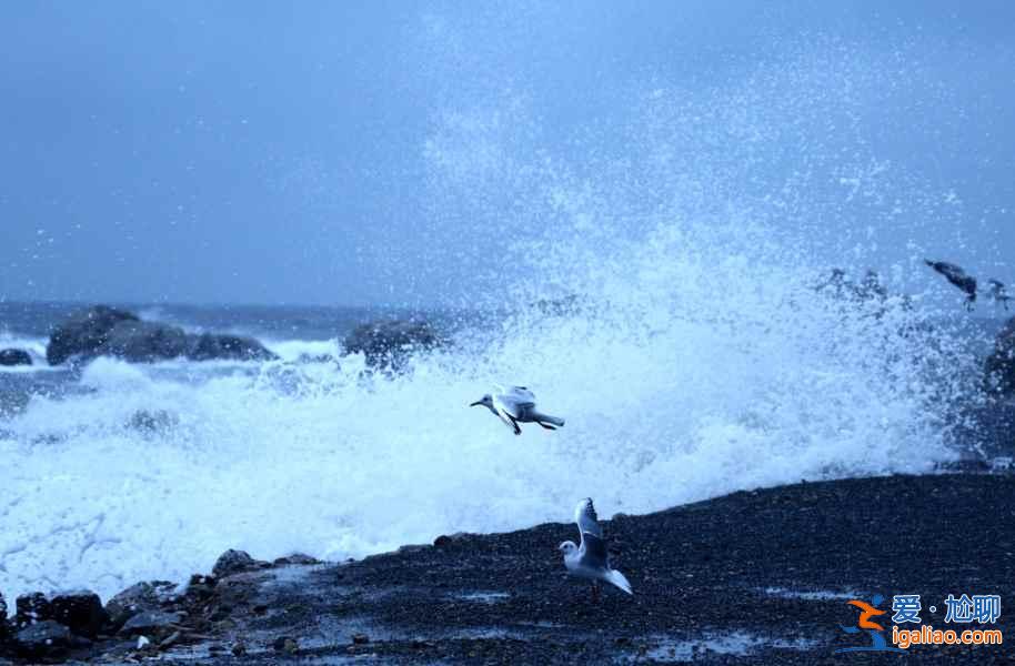 国内性价比最高的十大海滩，6月开始去海边？