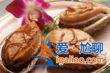 鲜鲍鱼的做法？