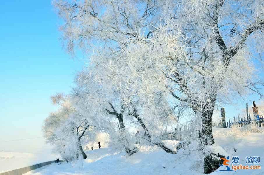 冬天去哪看雪好？冬天哪里的雪景最漂亮？中国最美雪景在哪里？？