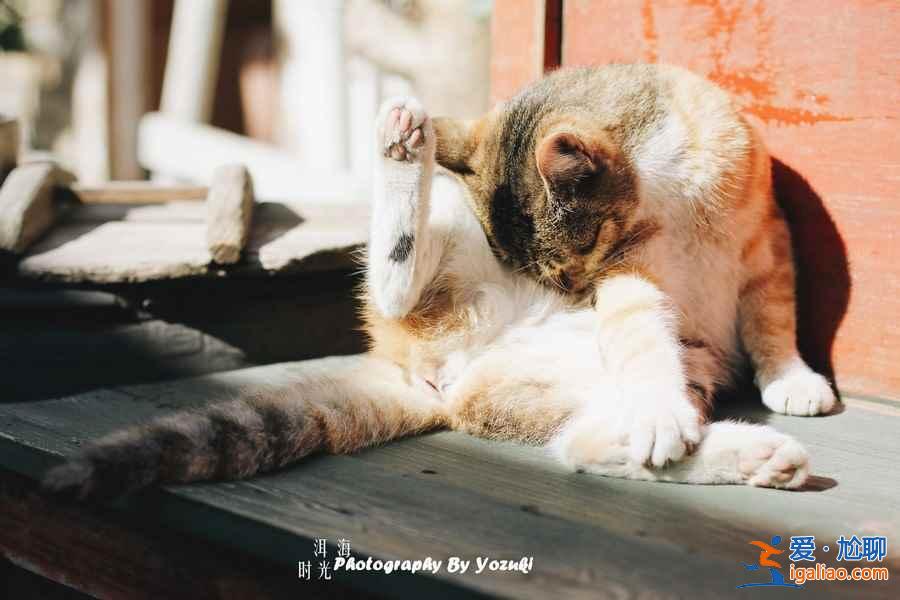 冬天去大理好吗，冬天去大理穿什么？
