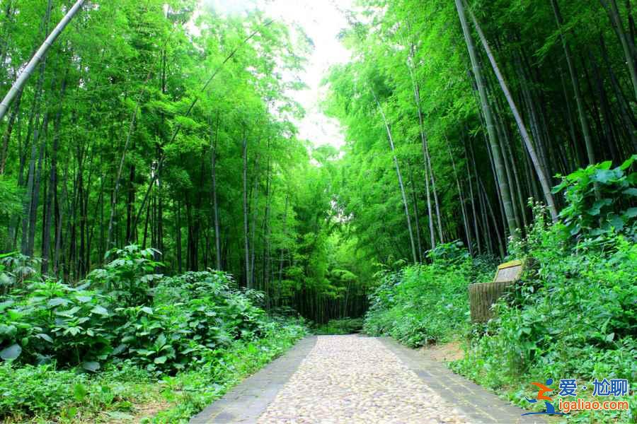 【五一人少景美的地方】2019五一人少好玩地方，五一去哪旅游好？