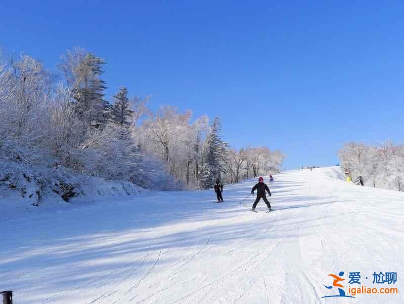 【门票】亚布力滑雪场门票价格，亚布力滑雪场门票多少钱，亚布力滑雪场开放时间？