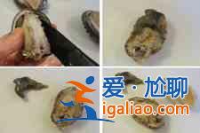 鲍鱼的做法大全？