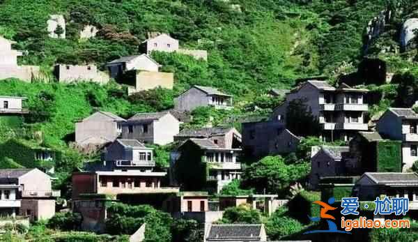 舟山村民遗弃小岛20年，小岛自然生长恍如仙境？